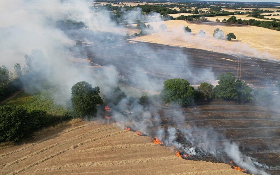 Fire Experts Warn UK Is Underprepared for Growing Wildfire Risk